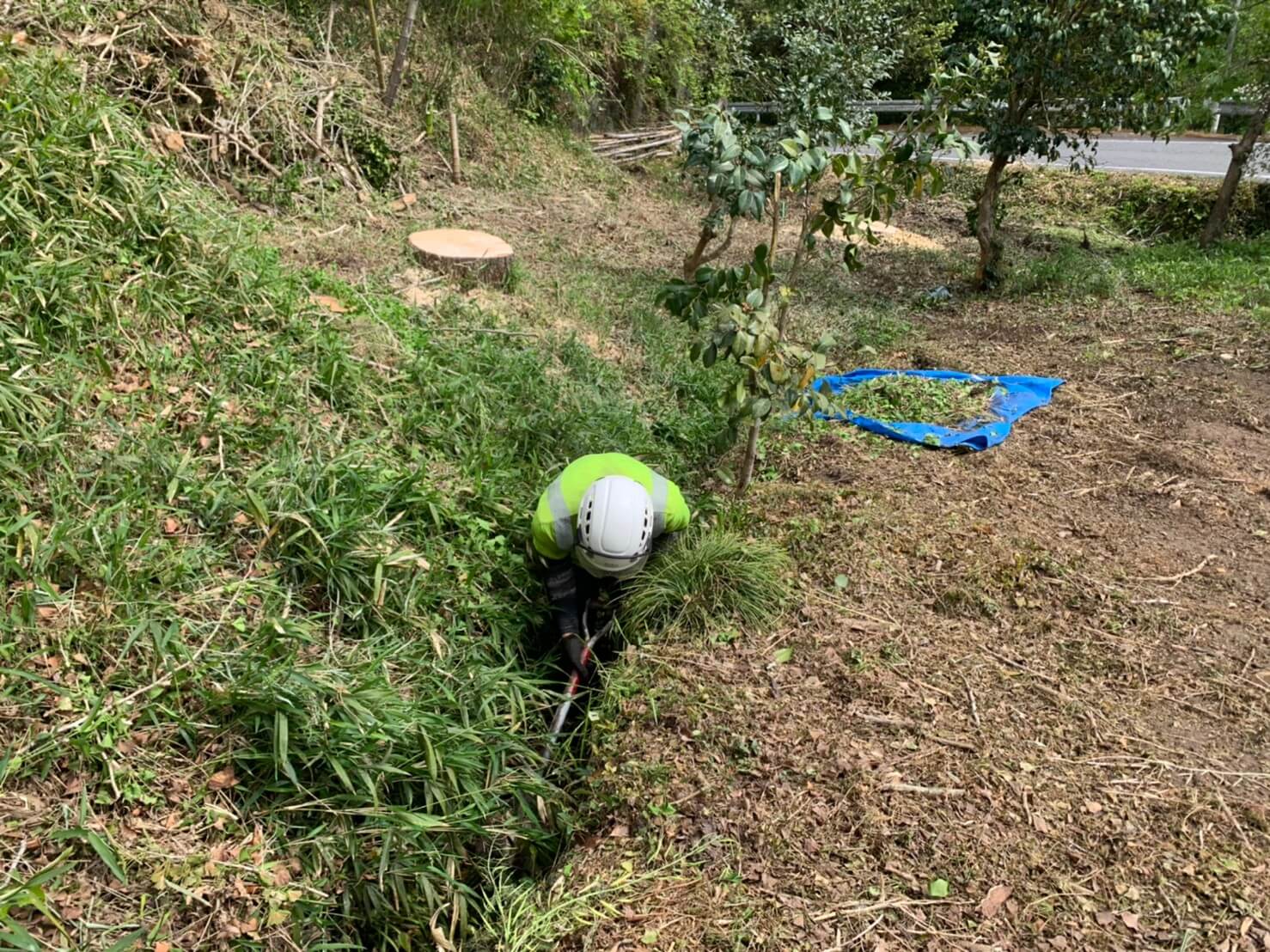 伐採木の近くにある水路をしっかりと清掃するスタッフ。